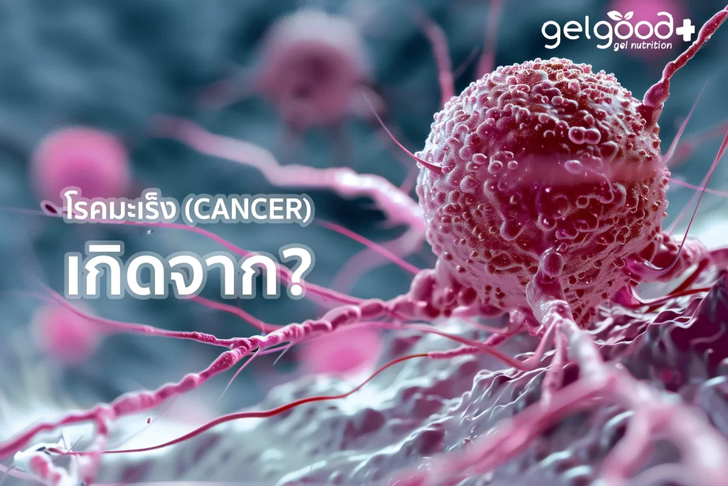 Causes-of-cancer-1024x683 โรคมะเร็ง (Cancer) เกิดจาก?